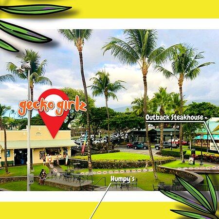 Gecko Girlz Shave Ice Shack